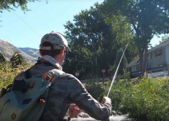 Fly Fishing in the City