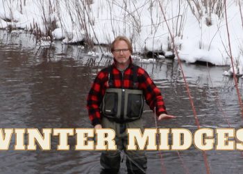 Winter Midge Fishing & Tying (Testing a New Pattern)