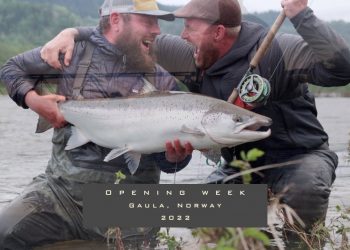 Early risers – Salmon Fishing in Gaula