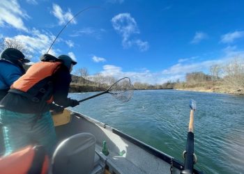 January 2023 Lower Mckenzie Report