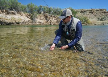 Podcast: Tips on Landing and Netting Fish, with Jesse Haller