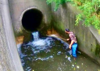 Storm Sewer Salmon – Moldy Chum