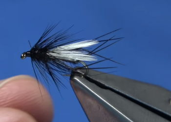 Tying Tuesday: Adult Midge Black Hopper