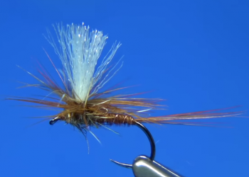 Tying Tuesday: Pheasant Tail Dry Fly