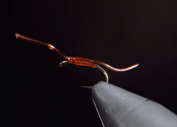 Tying Tuesday: Red Worm | MidCurrent