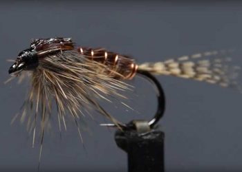 Video: How to Tie the Phat and Phunky Pheasant Tail Nymph