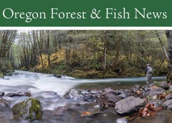 Screenshot 2023-02-14 at 7.20.47 AM