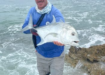 Bob Popovics Bulkhead Deceiver: Fly Tying Video