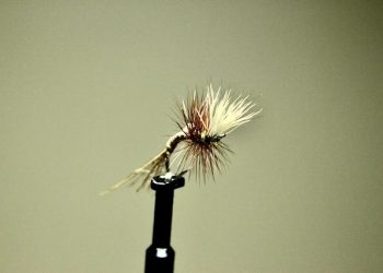 EP/Deer Hair March Brown Emerger Fly Tying Video
