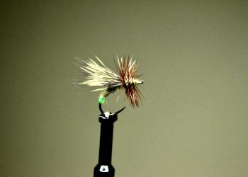 Egg Laying Grannom Caddis Fly Tying Video