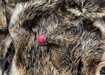 Guides Choice Hare’s Ear Fly Tying Video