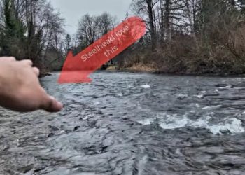 How to Swing Flies for Winter Steelhead in Small Rivers