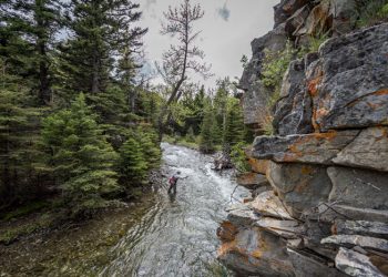 Pro Tips: Fishing Montana’s Smaller Trout Streams