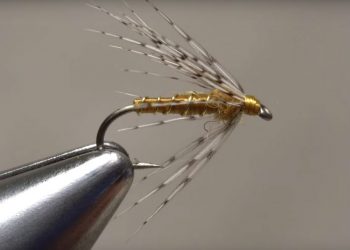 Video: How to Make an Oversize Soft Hackle Work