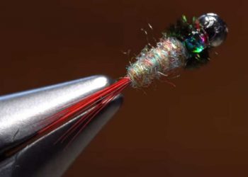 Video: How to Tie the Tungsten Rainbow Dart