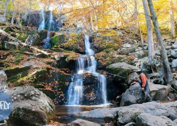 469-Mile Fly Fishing Roadtrip Across the Blue Ridge Parkway