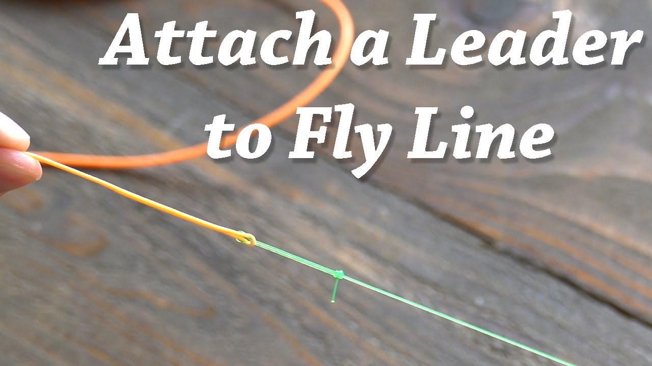 How To Tie Leader Line To Lure at Jerrold Prince blog