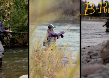 B-Roll – A Steelhead Story About Trout