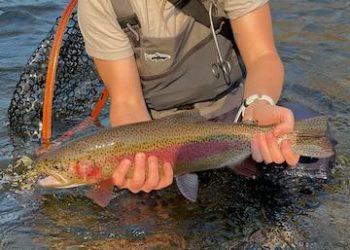 For Those Wondering Why We Do What We Do – Intermediate Fly Fishing Classes Available Now