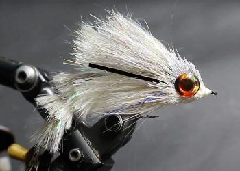 How to Cast a Heavy Streamer