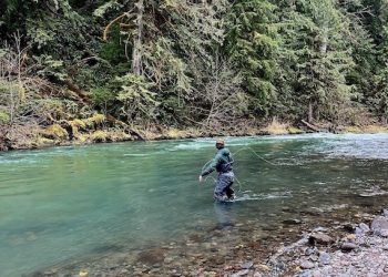 Mid March Fishing Report | The Caddis Fly: Oregon Fly Fishing Blog