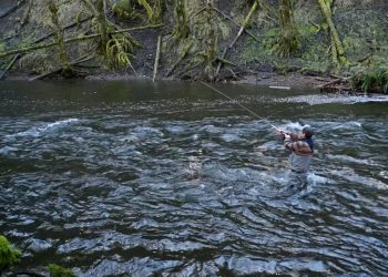 Video: How to Fish a New Steelhead Run