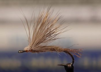 Video: How to Tie the March Brown Emerger