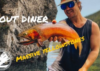 Alpine Lake Massive Yellowstone Cutthroat Trout – Backcountry Skinz