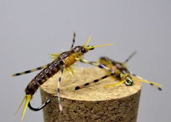 Golden Stone Fly Nymph Fly Tying Video