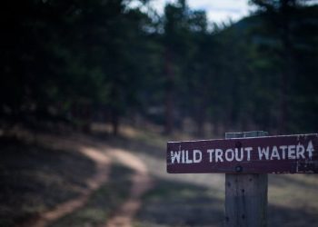 John Giearch Q&A | MidCurrent