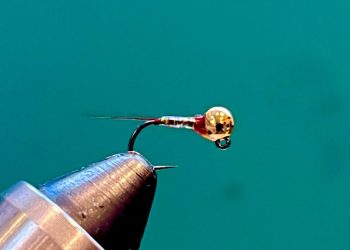 Lance Egan’s Rainbow Warrior Perdigon – Fly Tying Video