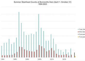 Outlook for Deschutes & John Day Summer Steelhead