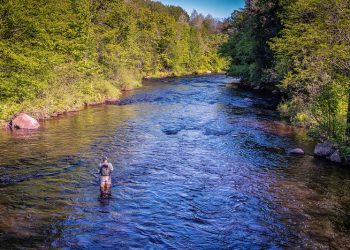 Story: He Knew What He Was Doing