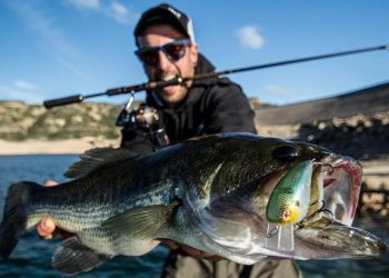 TINDER ANNOUNCES IT WILL REMOVE ALL FISH PICS FROM MEMBER PROFILES