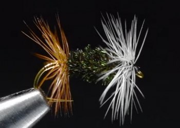 Tying Tuesday: The Renegade