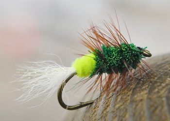 Video: How to Tie the Glitter Bug