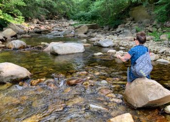 Wednesday Wake-Up Call 04.12.23 – Orvis News