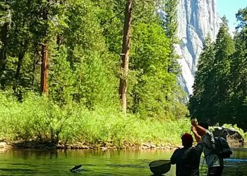 Yosemite National Park Fly Fishing 2023