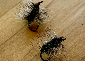 Guides Griffith’s Gnat Fly Pattern – Fly Tying Video