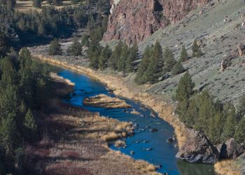 Oregon DEQ Aquatic Life Rule making and the Deschutes