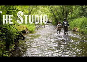 The Studio – Moldy Chum