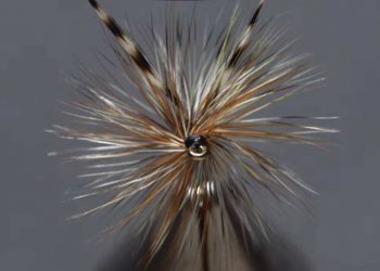 Video: How to Tie-In Mixed Brown and Grizzly Hackles