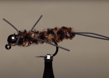 Video: How to Tie a Get It Down Pat’s