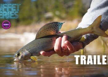 Buffet Series Season 3 Trailer and Giveaway Announcement