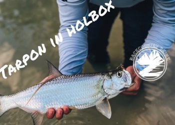 Fly Fishing For Tarpon And Snook in Isla Holbox Mexico