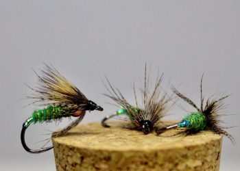 Hidden Bead McKenzie Green Caddis Wet Fly Tying Video