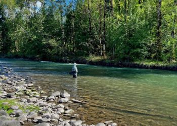Mid June Fishing Report | The Caddis Fly: Oregon Fly Fishing Blog