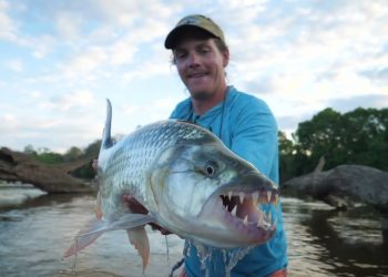 Tiger Fishing Tanzania – Moldy Chum