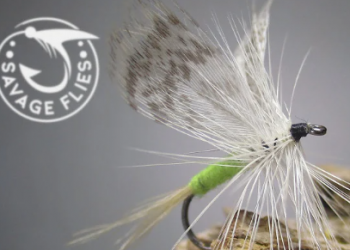 Tying Tuesday: Burr’s Bright