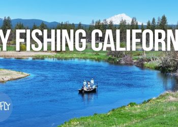 Fishing California’s Largest Spring Creek